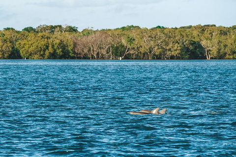 Sunset River Cruise Near Byron Bay - Maitland Accommodation 2