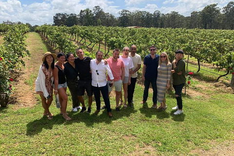 Hunter Valley Exclusive Kangaroo And Wine Tasting Experience - Maitland Accommodation 6