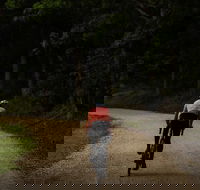 Full Day - Gravel Grind Cycling Tour - Maitland Accommodation