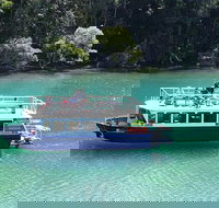 Byron Bay Rainforest Eco-Cruise - Maitland Accommodation