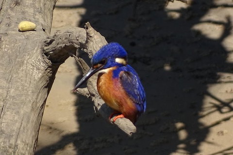 Byron Bay Sunset Rainforest Eco-Cruise - Maitland Accommodation 3