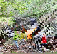 Guided E Bike Tour - Unicorn Falls  National Park - Maitland Accommodation