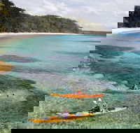 Half-Day Jervis Bay Sea Kayak Tour - Maitland Accommodation