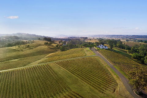 Audrey Wilkinson Vineyard: Fromage And Fortified Wine Experience - Maitland Accommodation 1