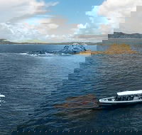 Julian Rocks Byron Bay Cruise - Maitland Accommodation