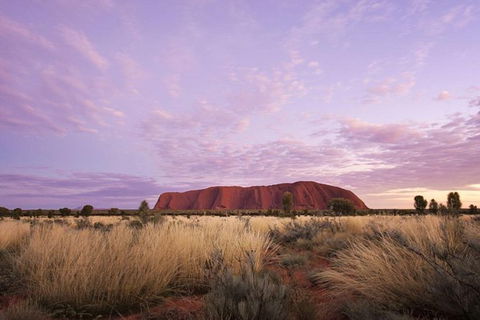 Explore Uluru: 7 Hours Guide Tour At Sunrise With Light Breakfast - Maitland Accommodation 4