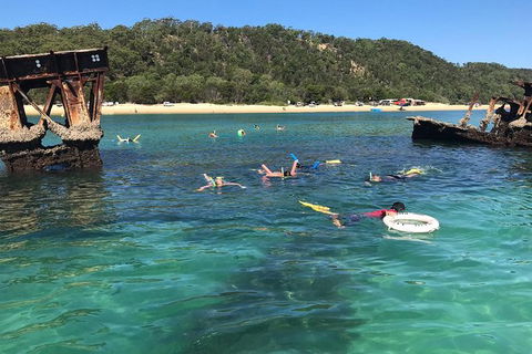 All Inclusive Dolphin And Tangalooma Wrecks Cruise - Maitland Accommodation 9