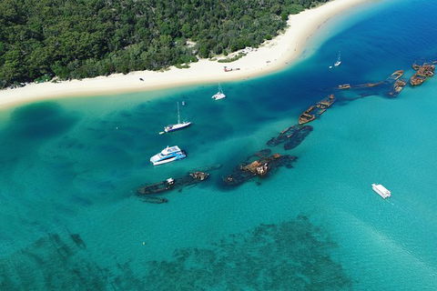 All Inclusive Dolphin And Tangalooma Wrecks Cruise - Maitland Accommodation 3