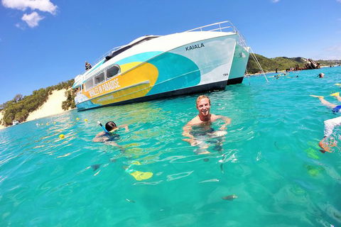 All Inclusive Dolphin And Tangalooma Wrecks Cruise - Maitland Accommodation 0