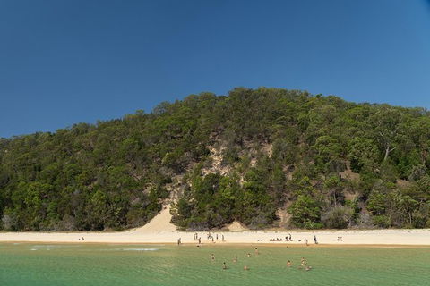 All Inclusive Dolphin And Tangalooma Wrecks Cruise - Maitland Accommodation 4