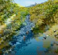 Cruise 'n' Canoe to Australia's Everglades - Maitland Accommodation