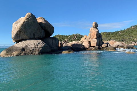 Aquascene Magnetic Island Discovery Tour - Maitland Accommodation 7