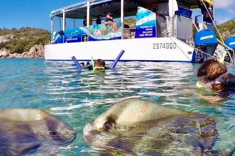 Aquascene Magnetic Island Discovery Tour - Maitland Accommodation 4