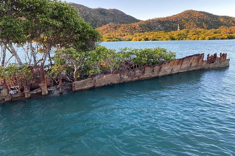 Aquascene Magnetic Island Discovery Tour - Maitland Accommodation 1