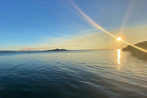 Aquascene Magnetic Island Discovery Tour - Maitland Accommodation 3