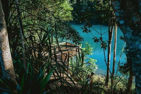 Atherton Tablelands Waterfalls And Rainforest Day Tour Departing Cairns - Maitland Accommodation 5