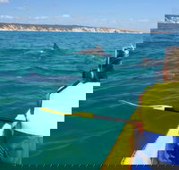Kayak with Dolphins and 4WD Great Beach Drive Day Trip from Noosa - Maitland Accommodation