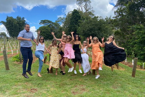 Deluxe Wine Tasting Tour Mt Tamborine Includes 2 Course Lunch - Maitland Accommodation 11