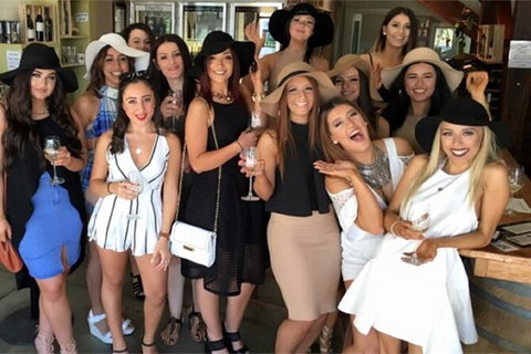 Deluxe Wine Tasting Tour Mt Tamborine Includes 2 Course Lunch - Maitland Accommodation 13