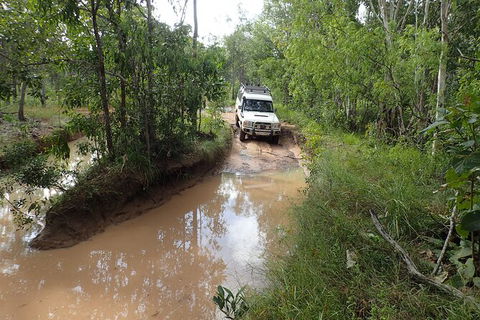 Cairns 4WD Waterfall And Rainforest Tour Including Kuranda Scenic Railway - Maitland Accommodation 3