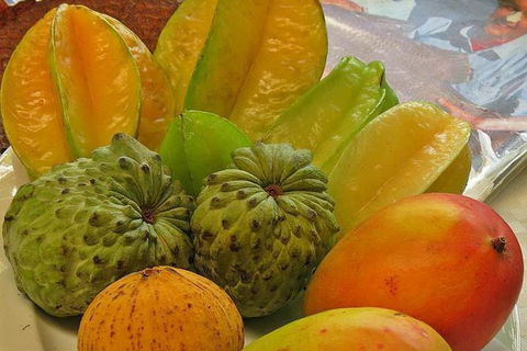 Cairns 4WD Waterfall And Rainforest Tour Including Kuranda Scenic Railway - Maitland Accommodation 2