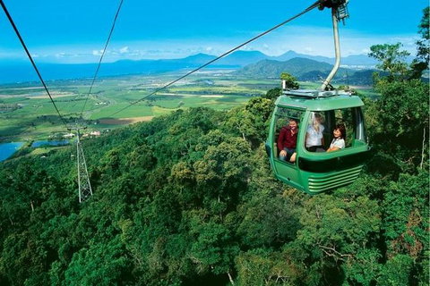 Kuranda Rainforest Station, Scenic Railway And Skyrail Tour - Maitland Accommodation 0