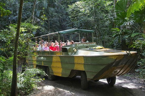 Kuranda Rainforest Station, Scenic Railway And Skyrail Tour - Maitland Accommodation 1