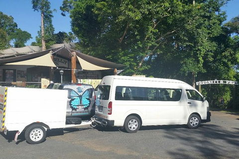 Airport Transfer To Or From Cairns Hotels For Up To 13 People (7am-10pm) - Maitland Accommodation 3