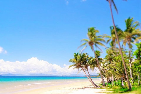 Airport Transfer - Cairns Airport To Mission Beach - Maitland Accommodation 1