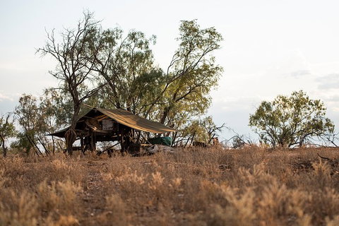 Nogo Station Experience - Maitland Accommodation 5