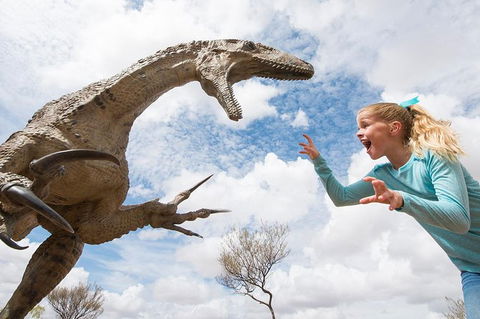 Winton Discovery Day Tour - Maitland Accommodation 0