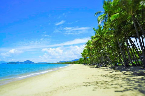 Airport Transfer - Palm Cove, Kewarra Beach & Trinity Beach To Cairns Airport - Maitland Accommodation 2