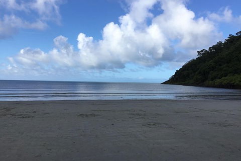 Daintree Luxury Limousine Tour - Full Day - Maitland Accommodation 6