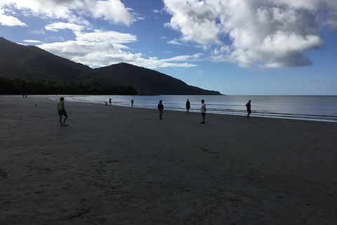 Daintree Luxury Limousine Tour - Full Day - Maitland Accommodation 5