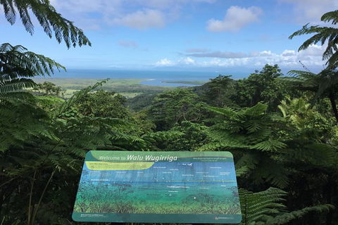 Daintree Luxury Limousine Tour - Full Day - Maitland Accommodation 0