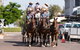 Cobb And Co Stagecoach Experience - thumb 6