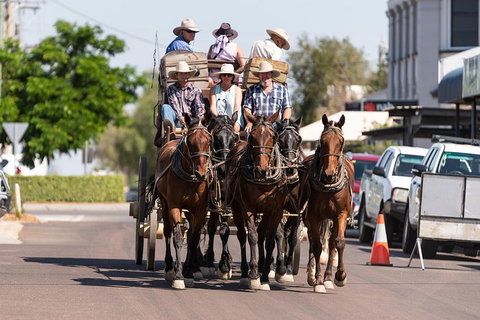Cobb And Co Stagecoach Experience - Maitland Accommodation 6