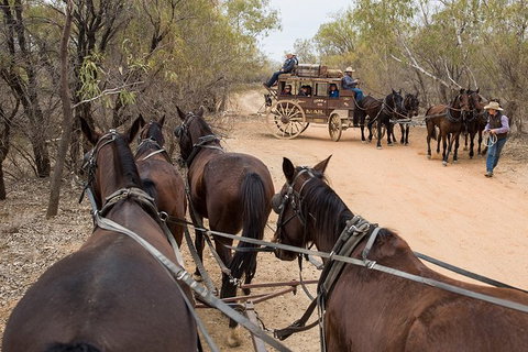 Cobb And Co Stagecoach Experience - Maitland Accommodation 1