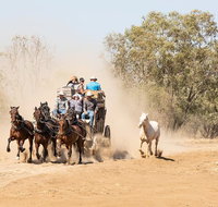 Cobb and Co Stagecoach Experience - Maitland Accommodation