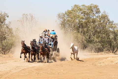 Cobb And Co Stagecoach Experience - Maitland Accommodation 0