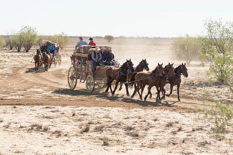 Cobb And Co Stagecoach Experience - Maitland Accommodation 4