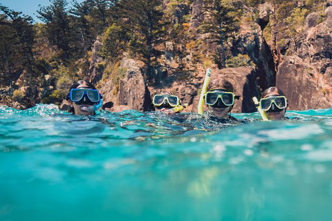 Australia East Coast: End Of Semester - Maitland Accommodation 4