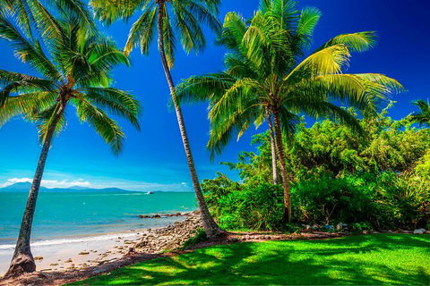 SHUTTLE - Port Douglas And Craiglie Return Transfer - Maitland Accommodation 2