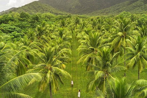 SHUTTLE - Thala Beach And Turtle Cove From Port Douglas (Return Transfer) - Maitland Accommodation 1