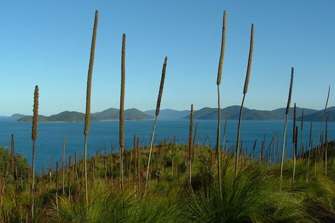 7-Day Private Sea Kayaking In Whitsundays - Maitland Accommodation 8
