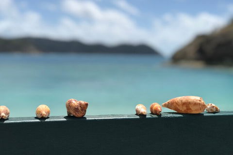 7-Day Private Sea Kayaking In Whitsundays - Maitland Accommodation 1