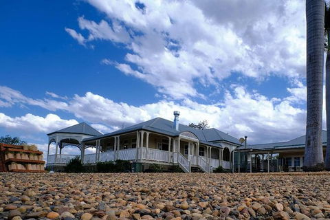 Camel Farm Tour And Taste Near Brisbane - Maitland Accommodation 1