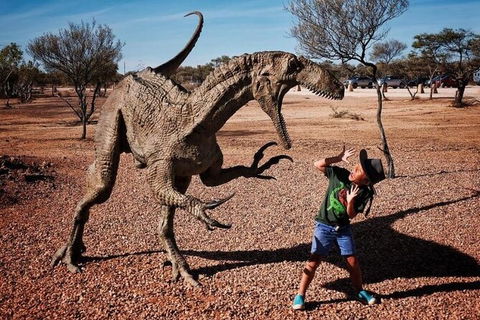 8-Day Outback Experience From Queensland - Maitland Accommodation 14