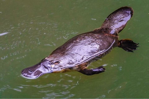 8-Day Outback Experience From Queensland - Maitland Accommodation 15