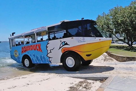 Aquaduck Gold Coast & IFLY - Maitland Accommodation 0